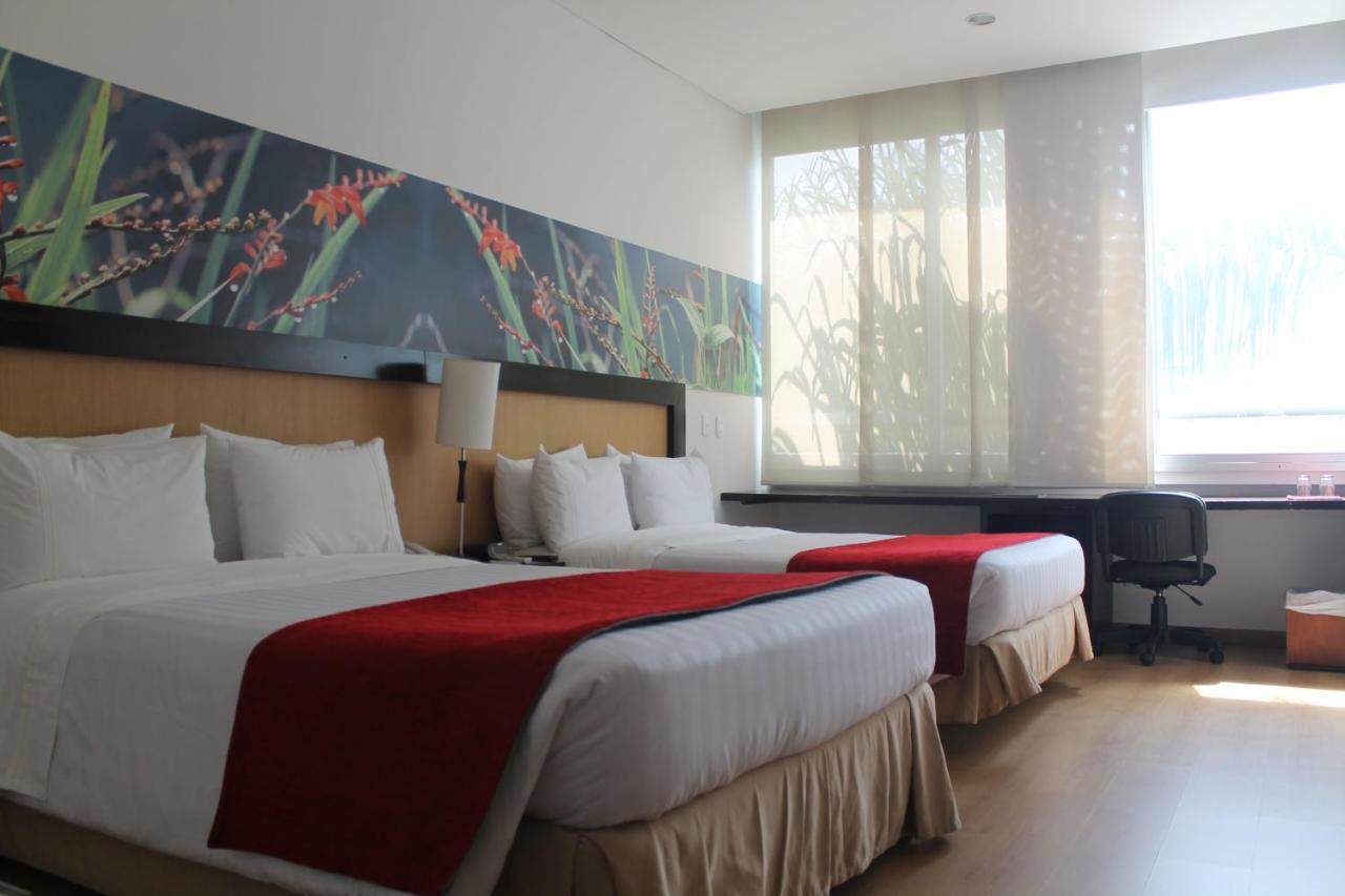 Mi Hotel Sandiego ميديلين المظهر الخارجي الصورة